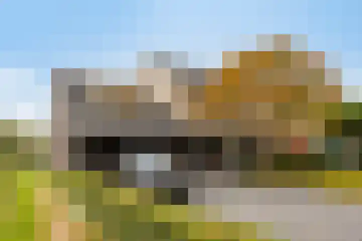 Burgemeester de Bekkerlaan 18 Gemert thumbnail 10