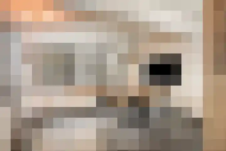 Burgemeester de Bekkerlaan 18 Gemert thumbnail 19