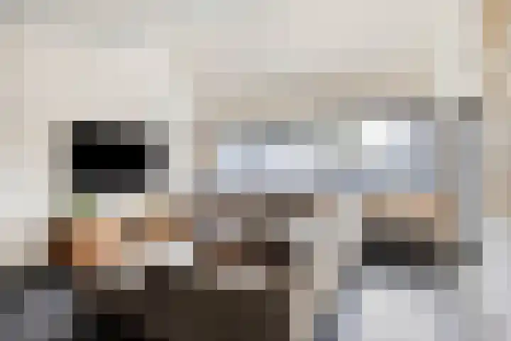 Burgemeester de Bekkerlaan 18 Gemert thumbnail 22