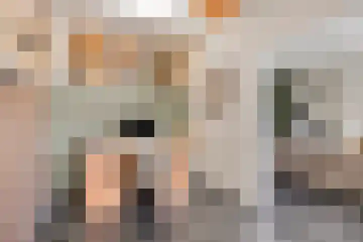 Burgemeester de Bekkerlaan 18 Gemert thumbnail 26