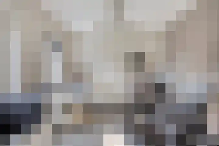 Burgemeester de Bekkerlaan 18 Gemert thumbnail 32