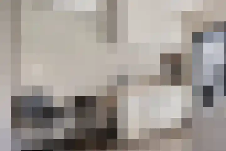 Burgemeester de Bekkerlaan 18 Gemert thumbnail 34