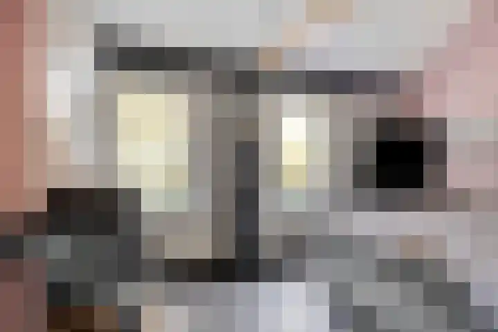 Burgemeester de Bekkerlaan 18 Gemert thumbnail 36