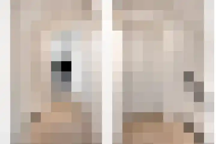 Burgemeester de Bekkerlaan 18 Gemert thumbnail 43