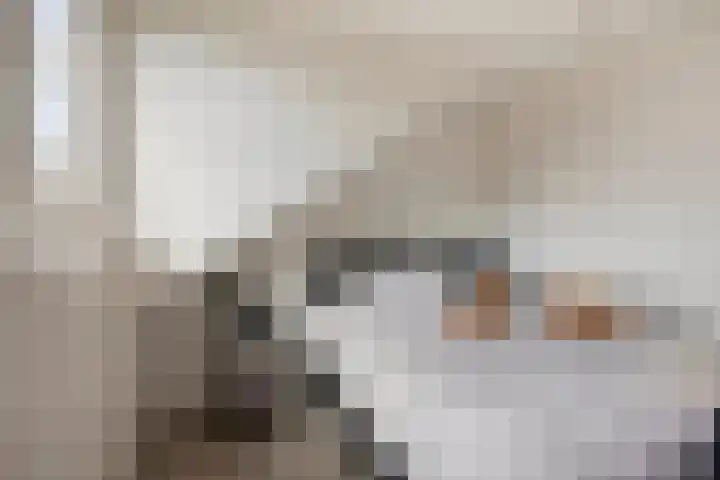 Burgemeester de Bekkerlaan 18 Gemert thumbnail 50
