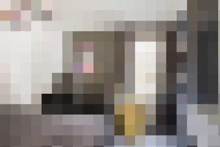 Burgemeester de Bekkerlaan 18 Gemert thumbnail 58