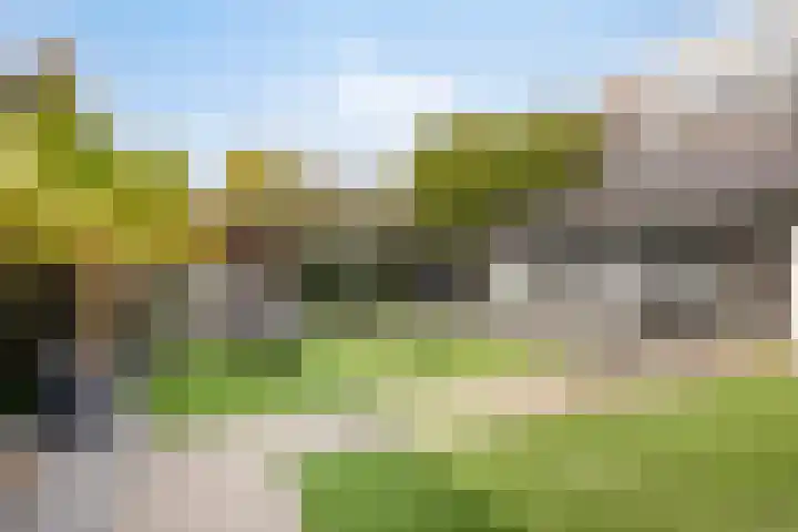Burgemeester de Bekkerlaan 18 Gemert thumbnail 66