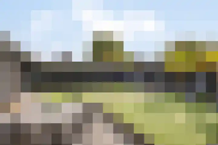 Burgemeester de Bekkerlaan 18 Gemert thumbnail 67