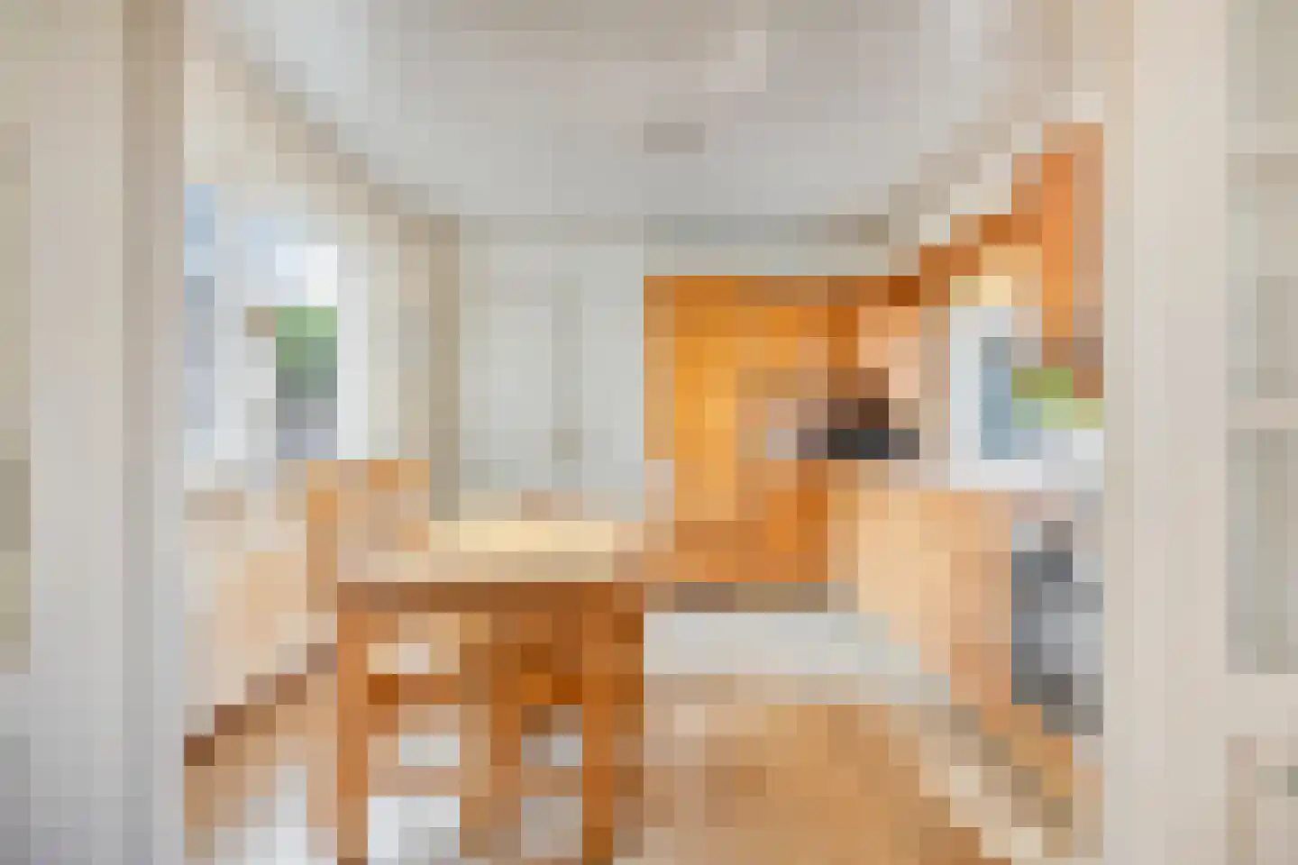 Burgemeester de Bekkerlaan 6 Gemert thumbnail 13