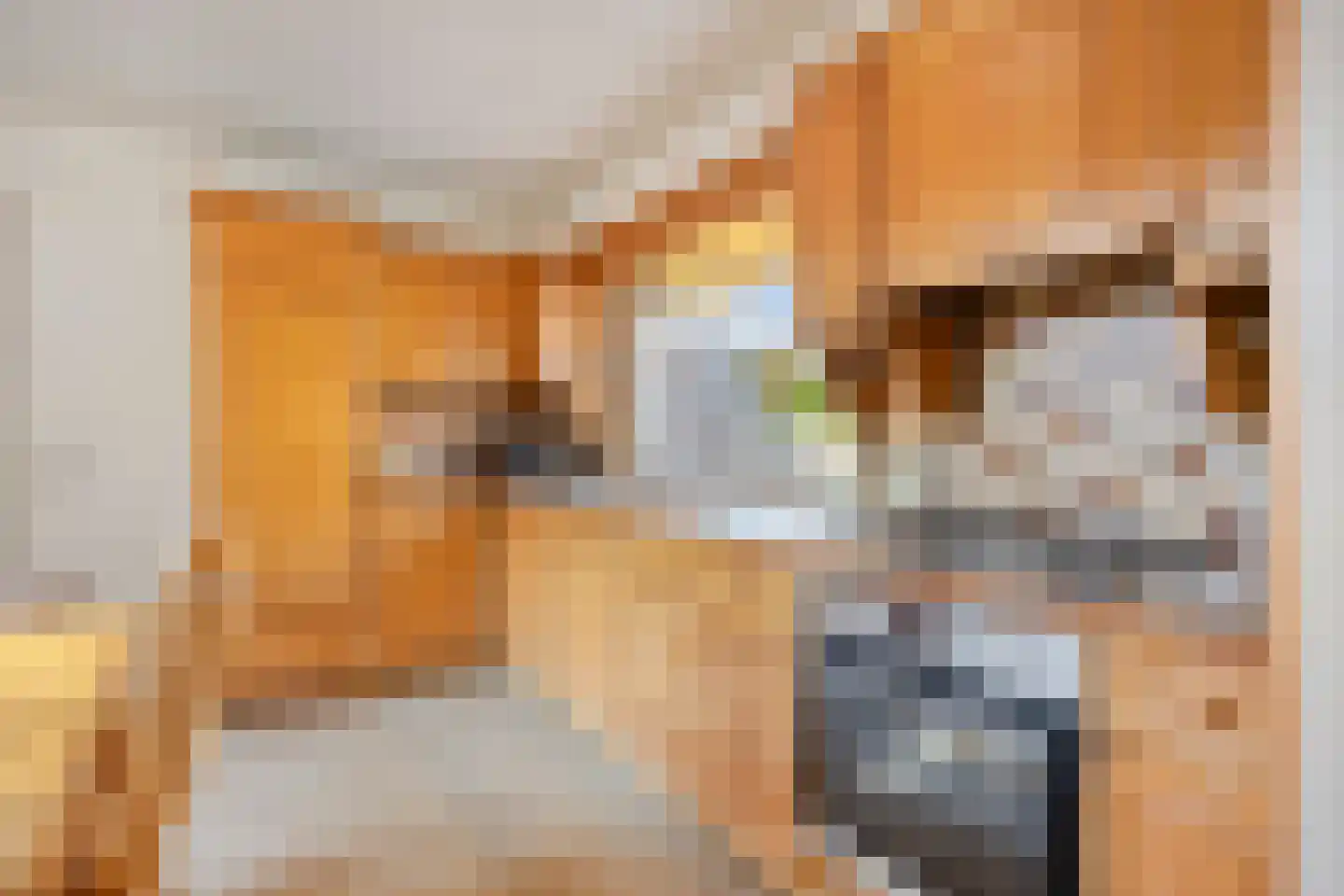 Burgemeester de Bekkerlaan 6 Gemert thumbnail 14
