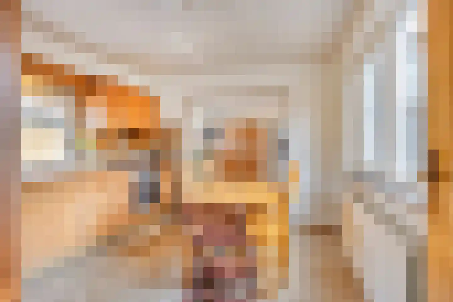 Burgemeester de Bekkerlaan 6 Gemert thumbnail 15