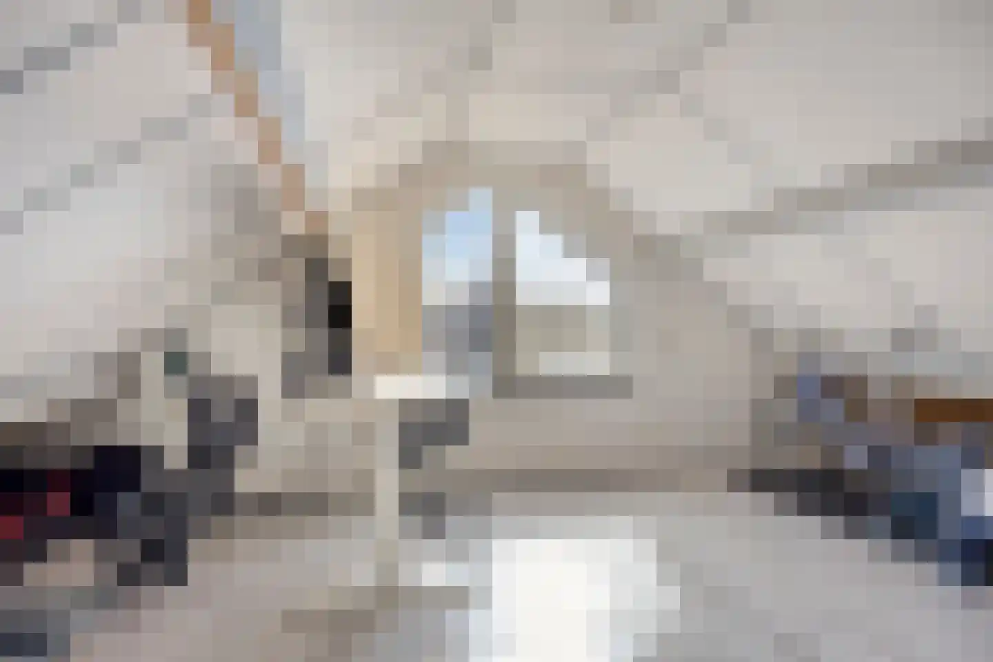 Burgemeester de Bekkerlaan 6 Gemert thumbnail 32