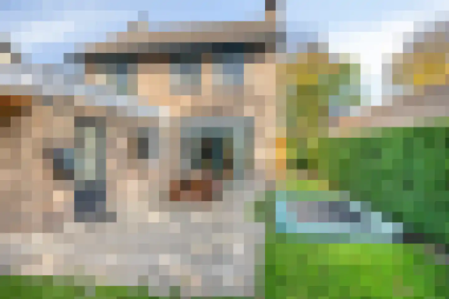 Burgemeester de Bekkerlaan 6 Gemert thumbnail 35
