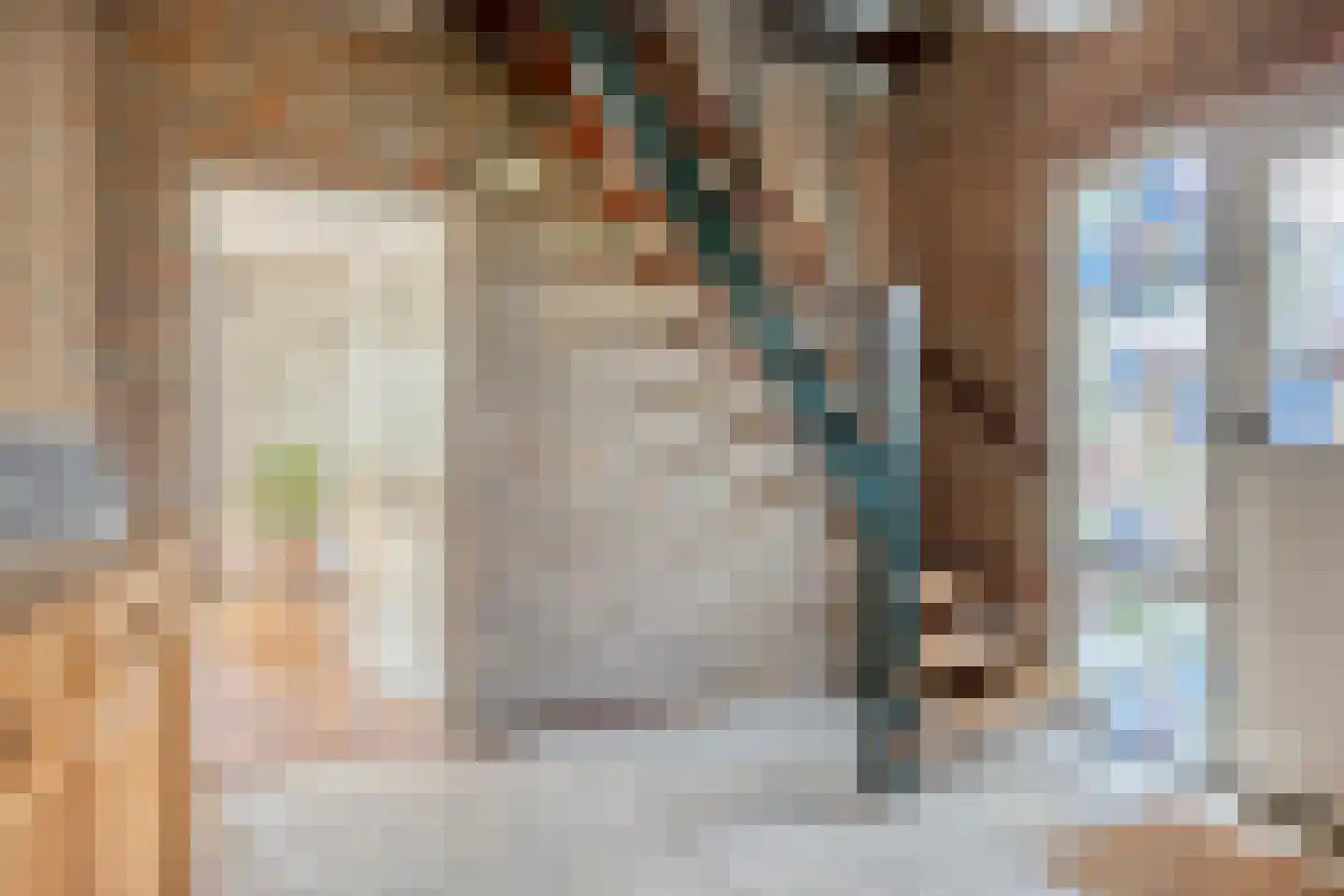 Burgemeester de Bekkerlaan 6 Gemert thumbnail 6