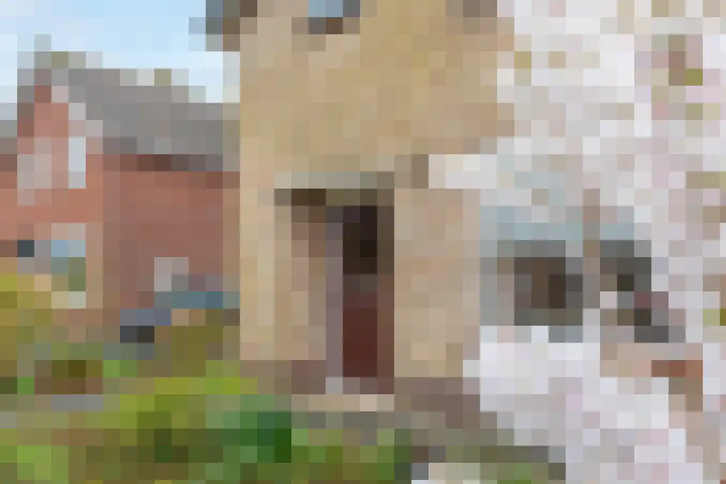 Burgemeester de Boerlaan 11 Obdam thumbnail 7