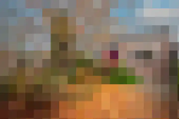 Burgemeester de Boerlaan 3 Obdam thumbnail 41