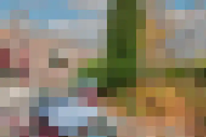 Burgemeester de Boerlaan 3 Obdam thumbnail 42