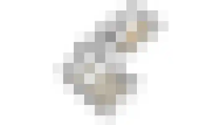 Burgemeester de Boerlaan 3 Obdam thumbnail 48