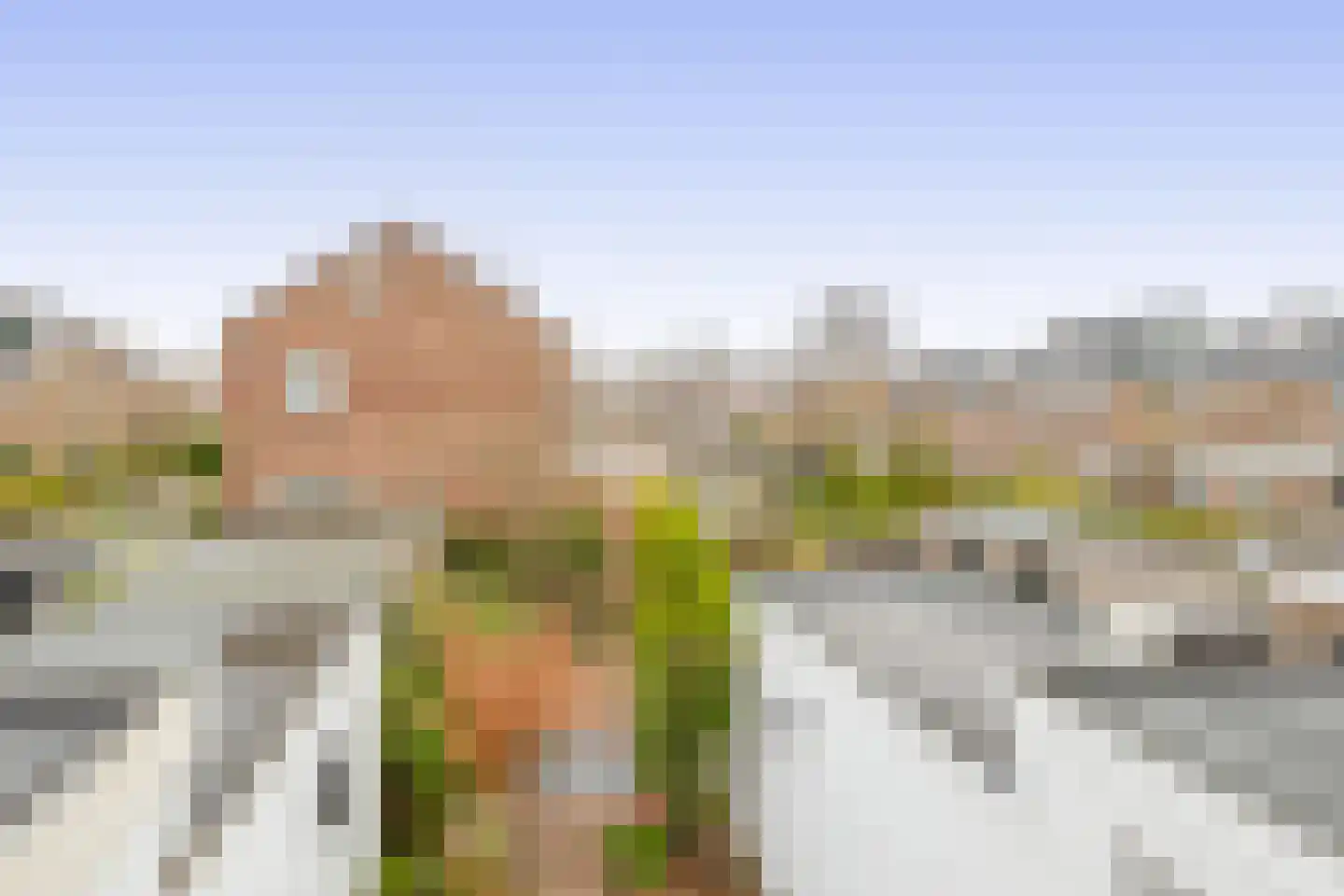 Burgemeester de Boerstraat 35 Assendelft thumbnail 28