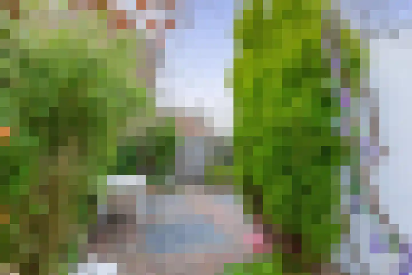 Burgemeester de Boerstraat 35 Assendelft thumbnail 4