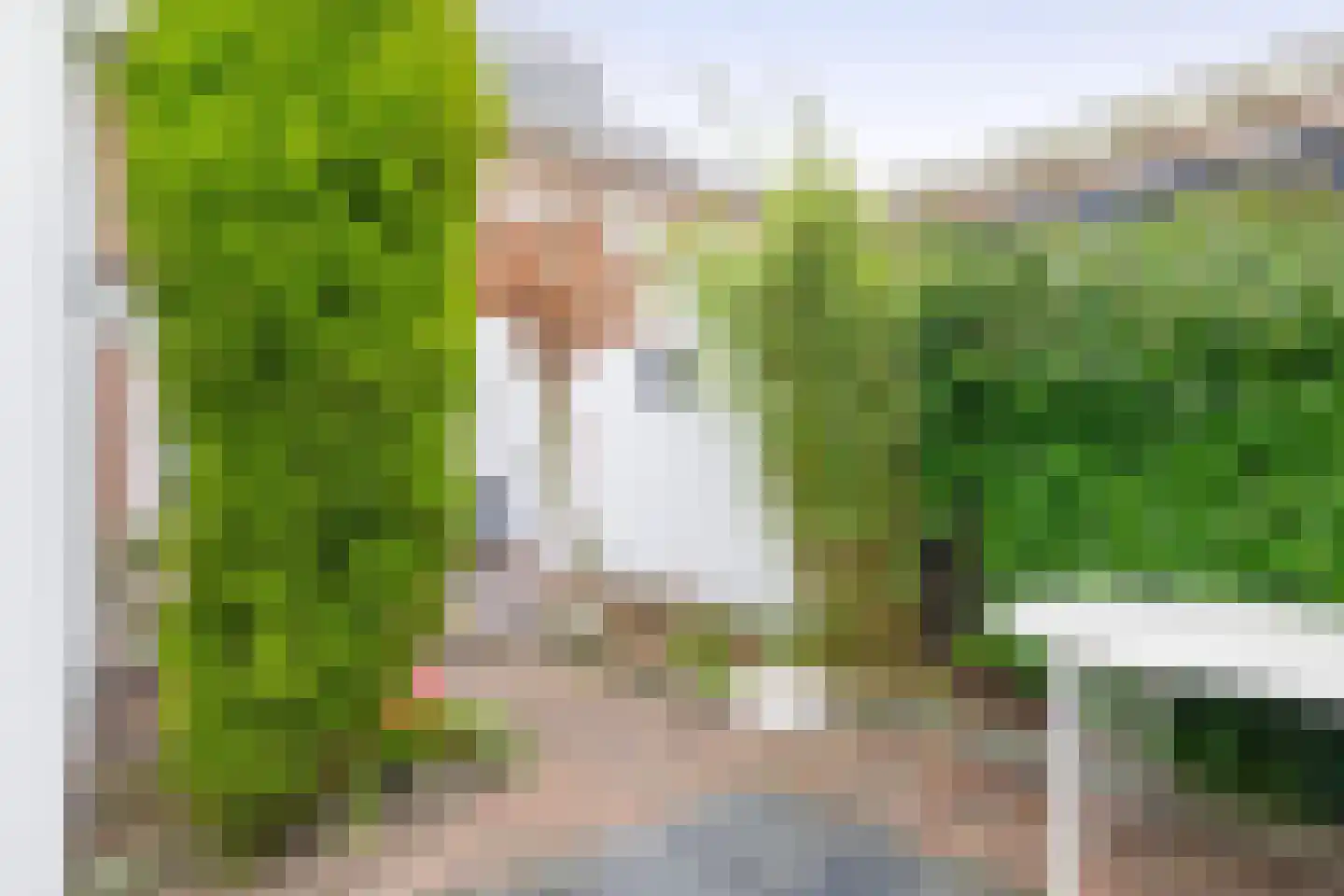 Burgemeester de Boerstraat 35 Assendelft thumbnail 42