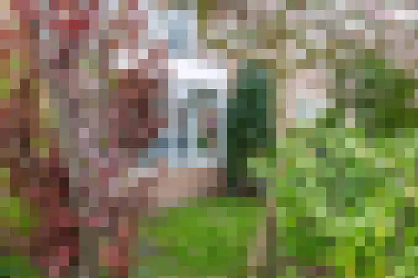 Burgemeester de Boerstraat 35 Assendelft thumbnail 6