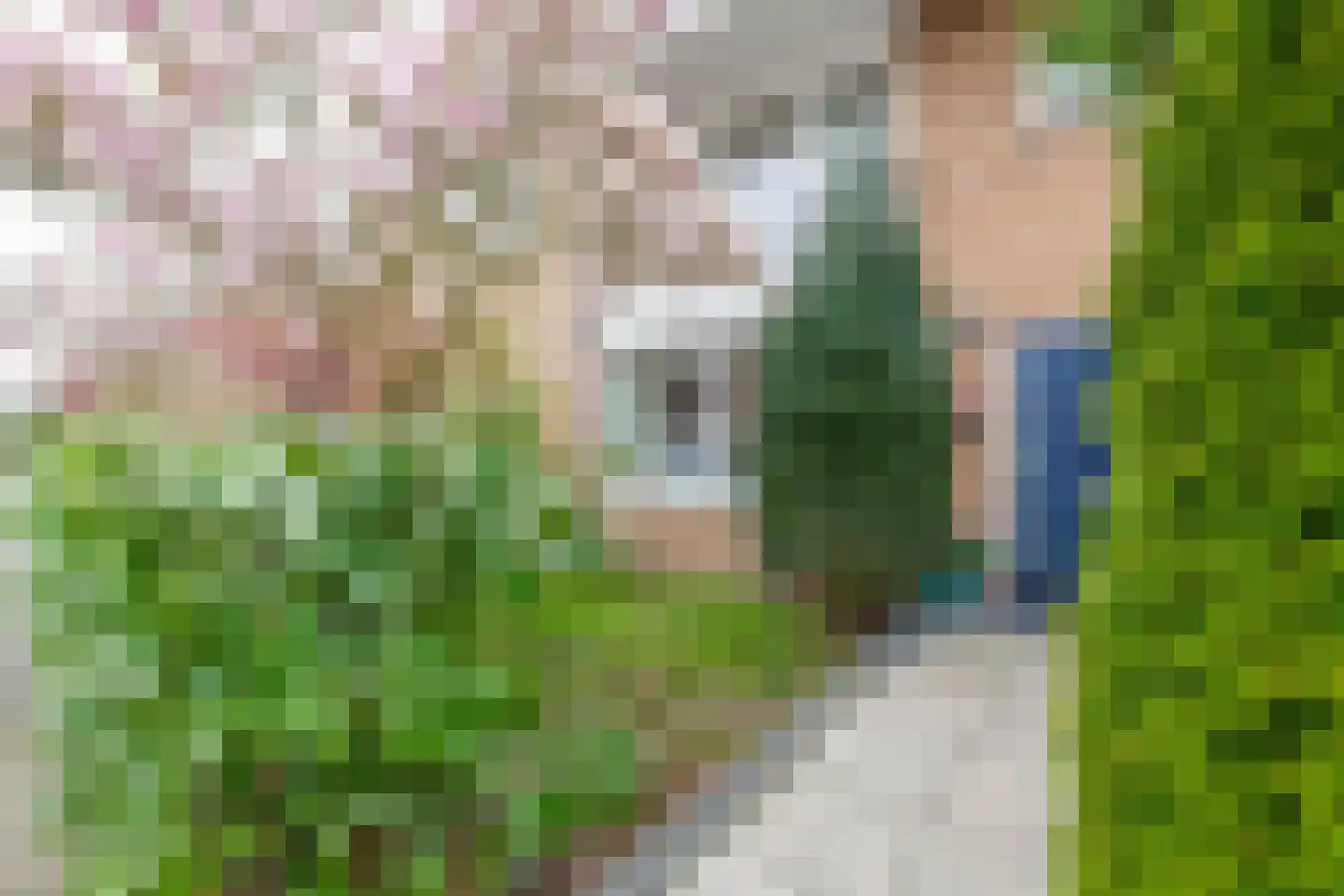 Burgemeester de Boerstraat 35 Assendelft thumbnail 8