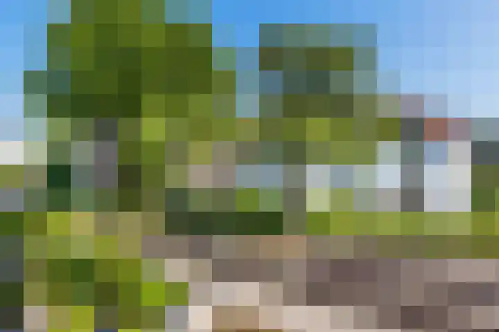 Burgemeester de Bordesstraat 20 Bussum thumbnail 8