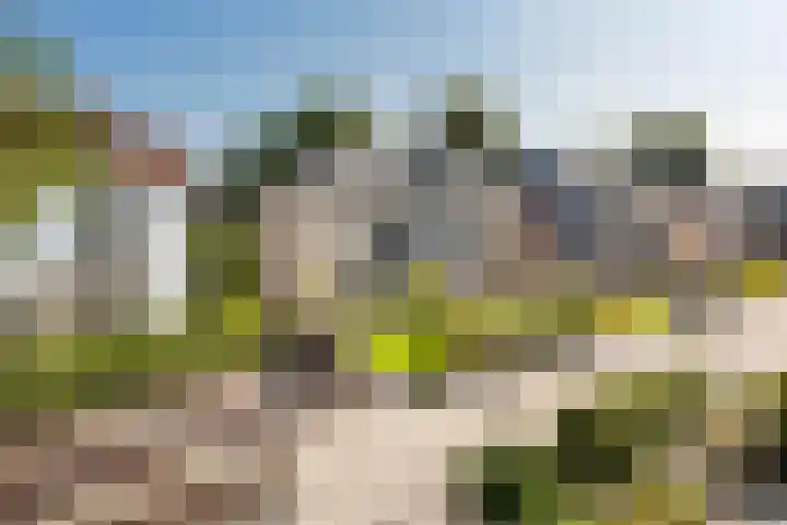 Burgemeester de Bordesstraat 20 Bussum thumbnail 9