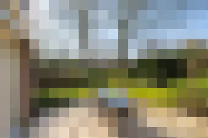 Burgemeester de Bruijnstraat 65 Doetinchem thumbnail 16