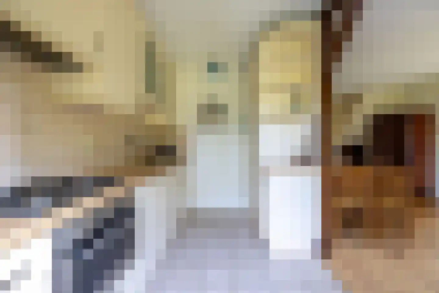 Burgemeester de Bruijnstraat 93 Doetinchem thumbnail 10
