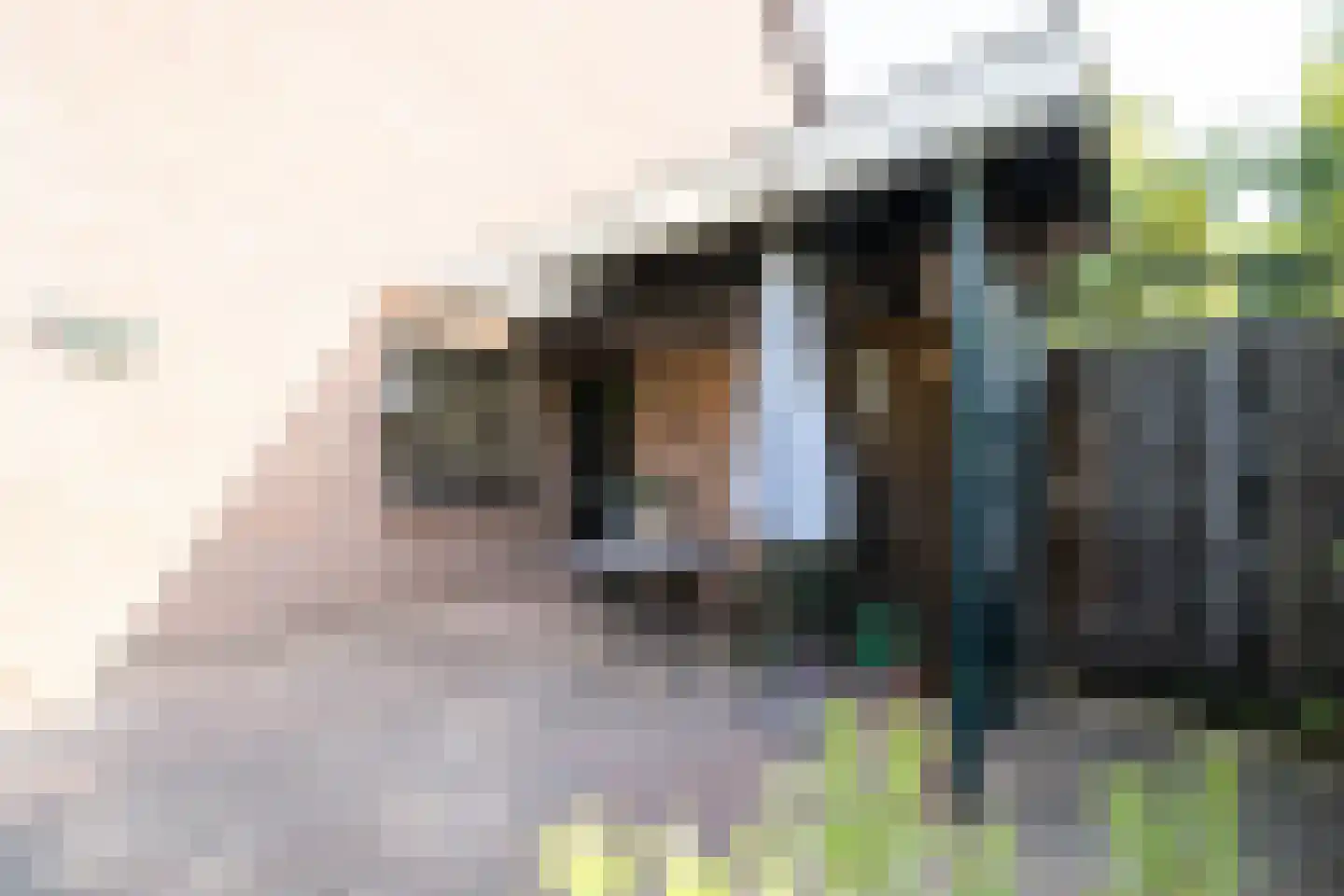 Burgemeester de Bruijnstraat 93 Doetinchem thumbnail 16