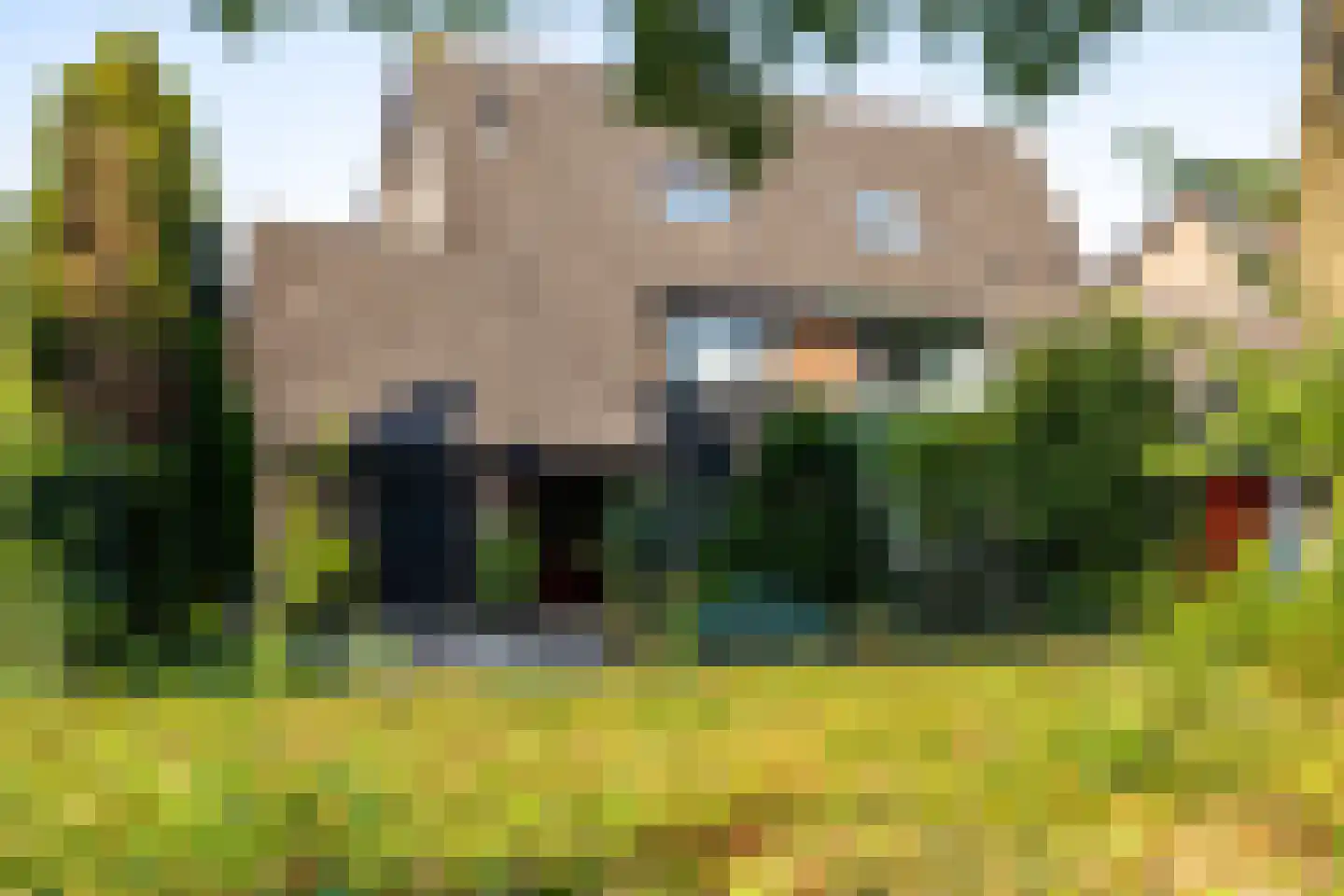 Burgemeester de Bruijnstraat 93 Doetinchem thumbnail 37