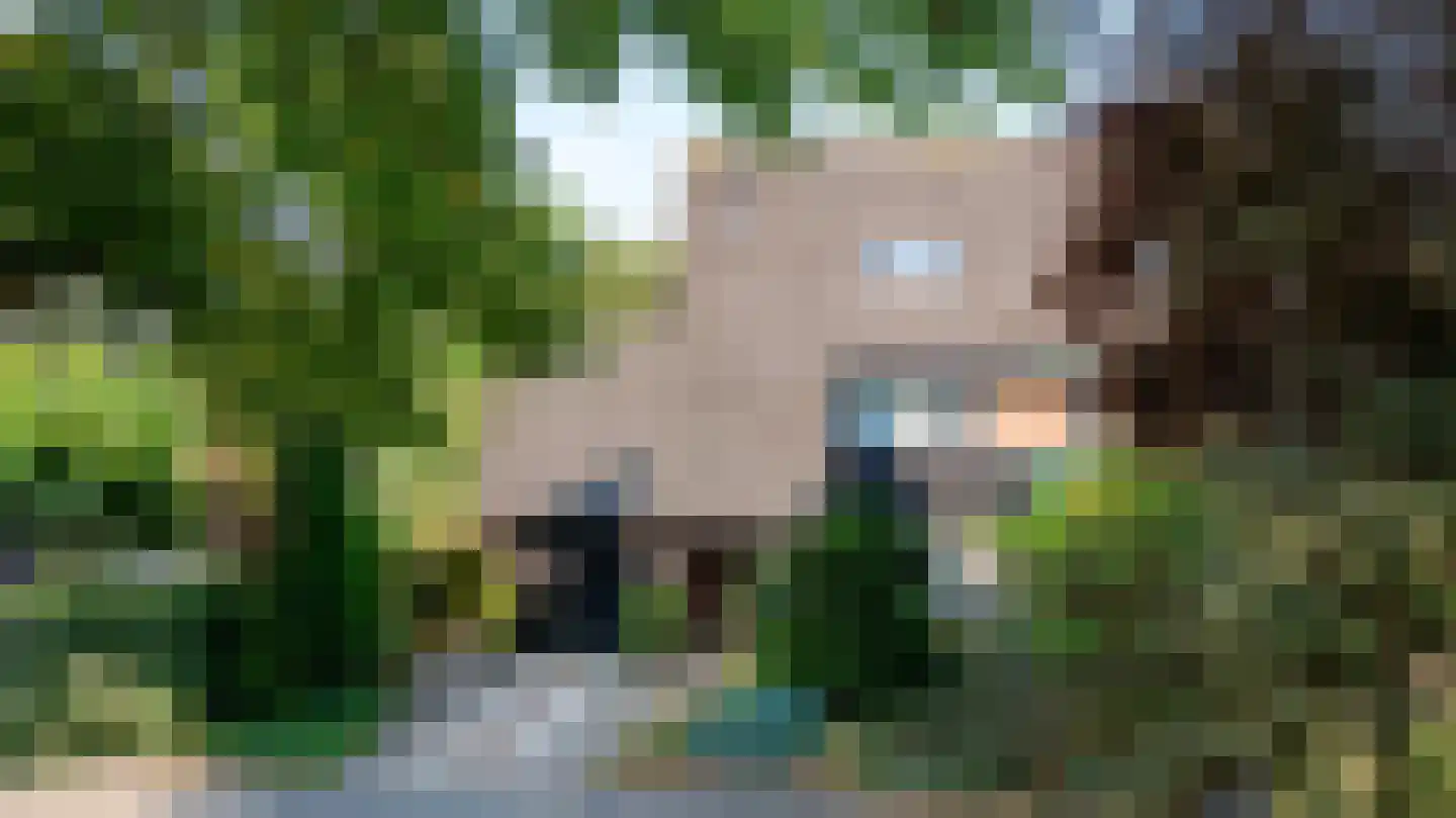 Burgemeester de Bruijnstraat 93 Doetinchem thumbnail 38