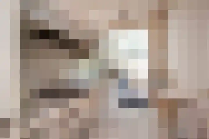 Burgemeester de Bruïnelaan 1 A Zwijndrecht thumbnail 12