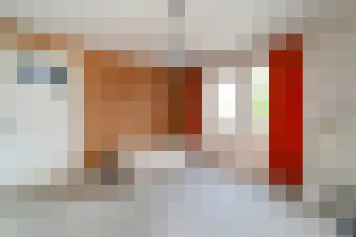 Burgemeester de Bruïnelaan 1 A Zwijndrecht thumbnail 20