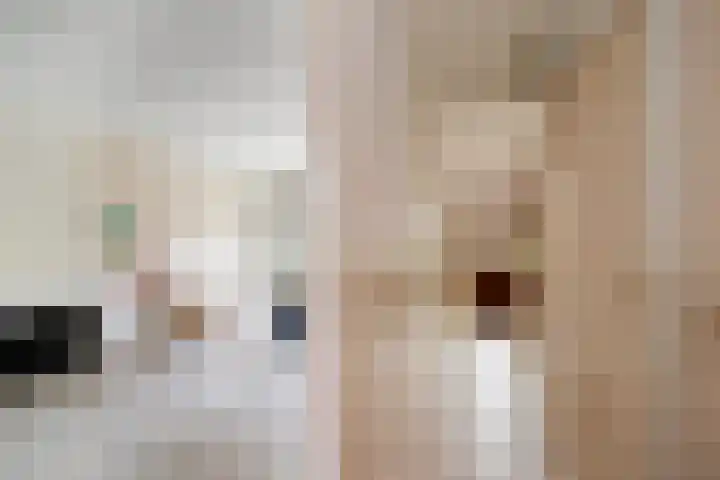 Burgemeester de Bruïnelaan 1 A Zwijndrecht thumbnail 4