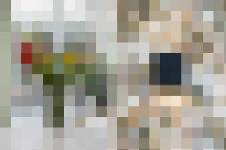 Burgemeester de Bruïnelaan 1 E Zwijndrecht thumbnail 20