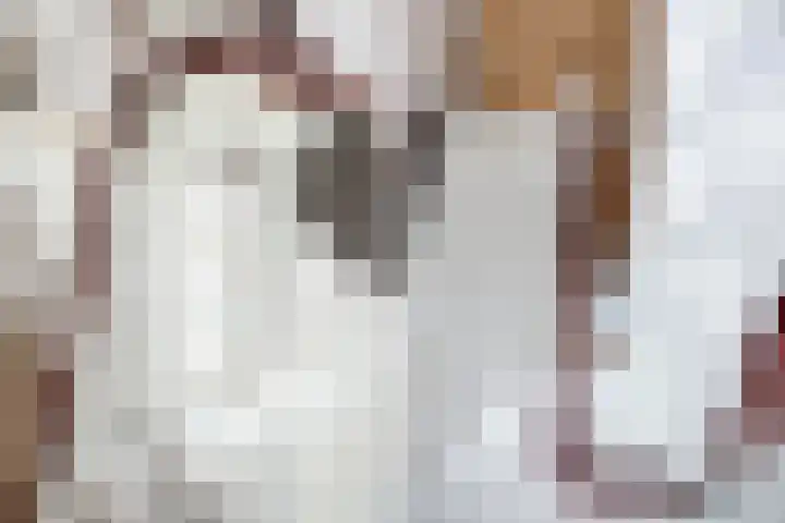 Burgemeester de Bruïnelaan 1 E Zwijndrecht thumbnail 29