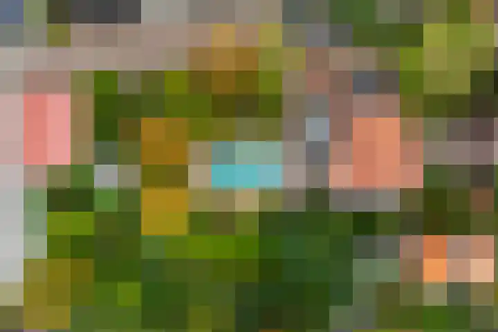 Burgemeester de Bruïnelaan 1 E Zwijndrecht thumbnail 6