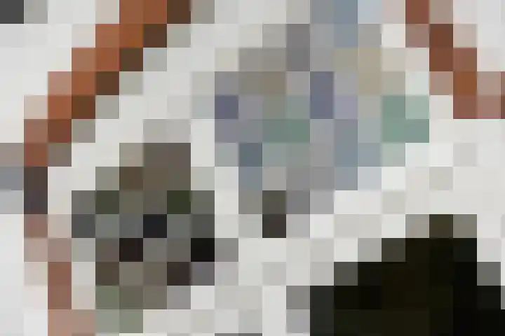 Burgemeester de Bruïnelaan 1 E Zwijndrecht thumbnail 64