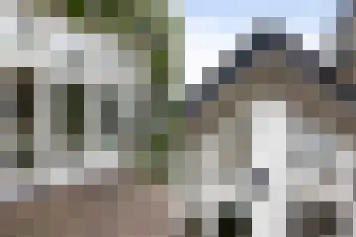 Burgemeester de Bruïnelaan 1 E Zwijndrecht thumbnail 66
