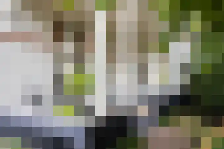 Burgemeester de Bruïnelaan 1 E Zwijndrecht thumbnail 68