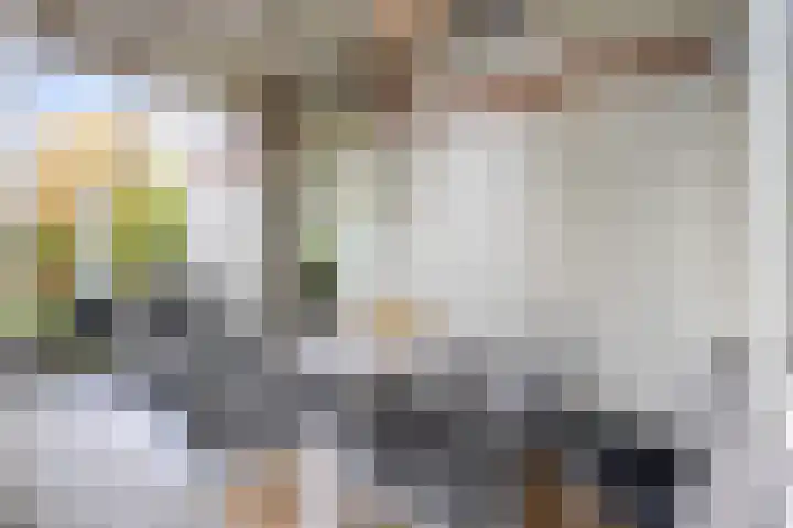 Burgemeester de Bruïnelaan 1 E Zwijndrecht thumbnail 69