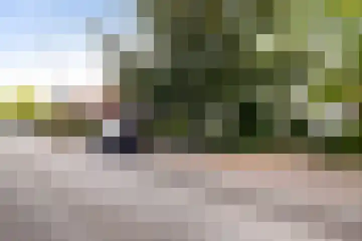 Burgemeester de Bruïnelaan 1 E Zwijndrecht thumbnail 9