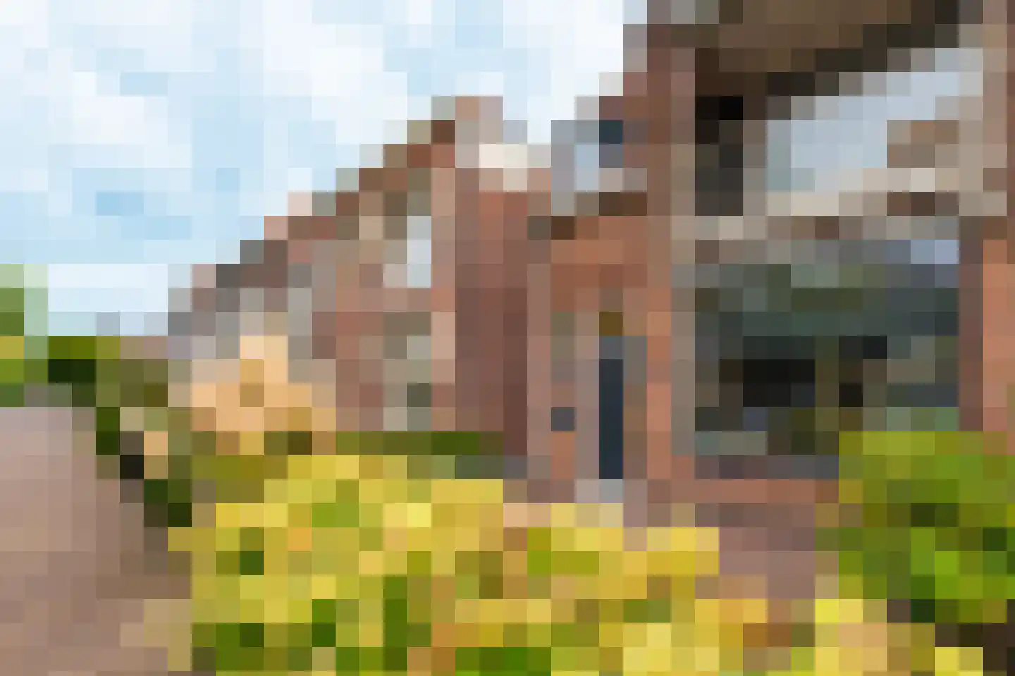 Burgemeester de Bruïnelaan 114 Zwijndrecht thumbnail 46