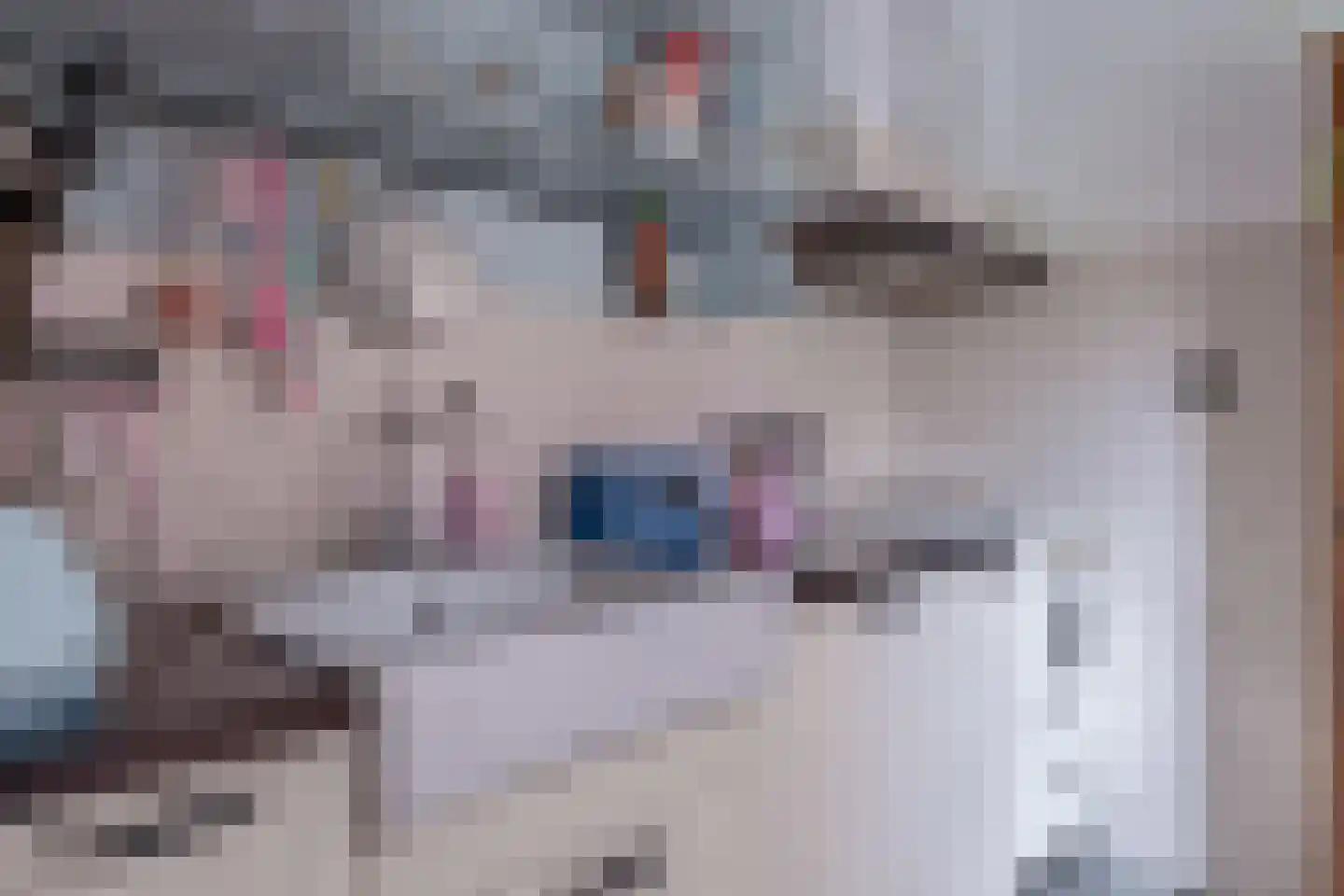 Burgemeester de Bruïnelaan 123 Zwijndrecht thumbnail 16