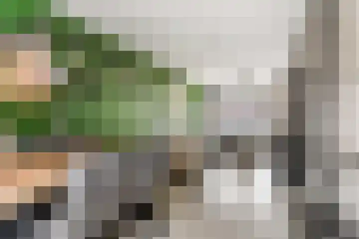 Burgemeester de Bruïnelaan 135 Zwijndrecht thumbnail 11