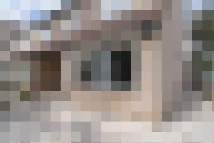 Burgemeester de Bruïnelaan 135 Zwijndrecht thumbnail 17