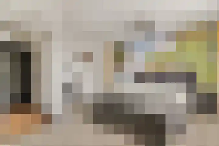 Burgemeester de Bruïnelaan 135 Zwijndrecht thumbnail 21